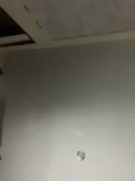 Stripchat Free Live Porn of Baby__Otaku