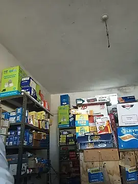 Stripchat Live Sex Cam of Bigbul6