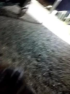 Stripchat Sex Chat of Labellasex