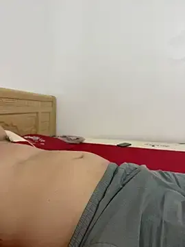 Stripchat Free Porn Cam of vietAnhzip