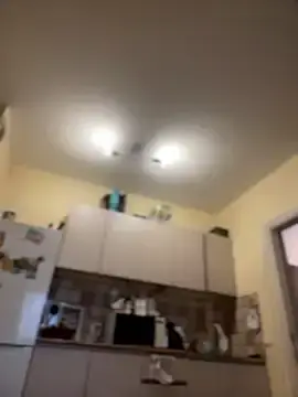 Stripchat Live Sex Cam of MeekyRich