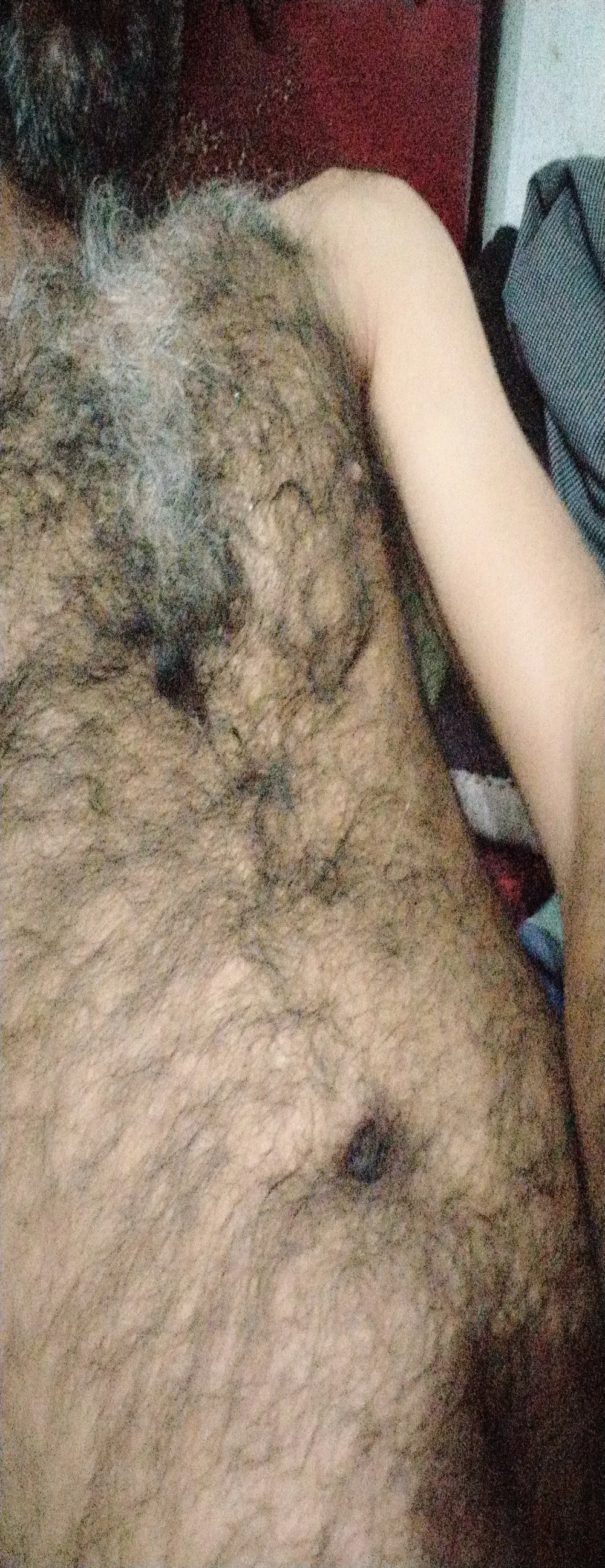 salimbasha