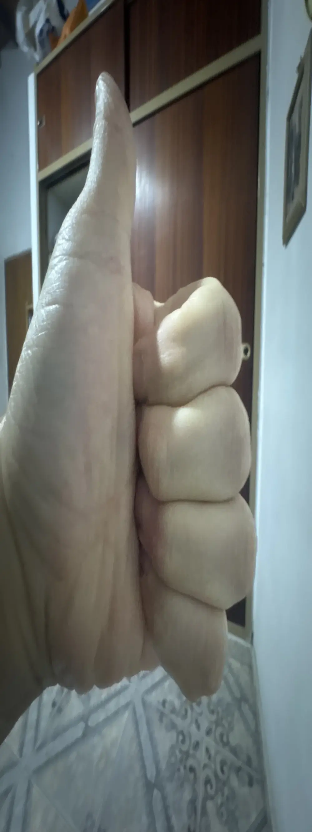 venteveo1