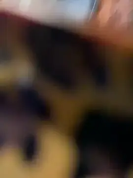 Stripchat Best live sex cam show of VendiMur