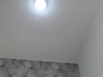 Stripchat Nude Webcam of brown_halos