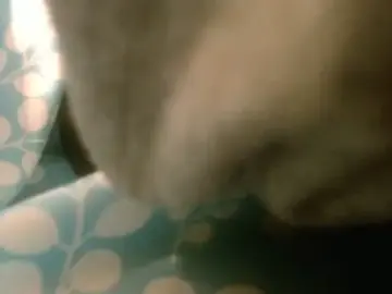Stripchat Sex Cam of rockhead1971