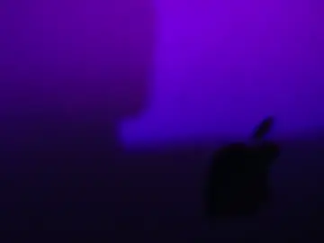 Stripchat Watch Live Sex Cams of VideoArtist