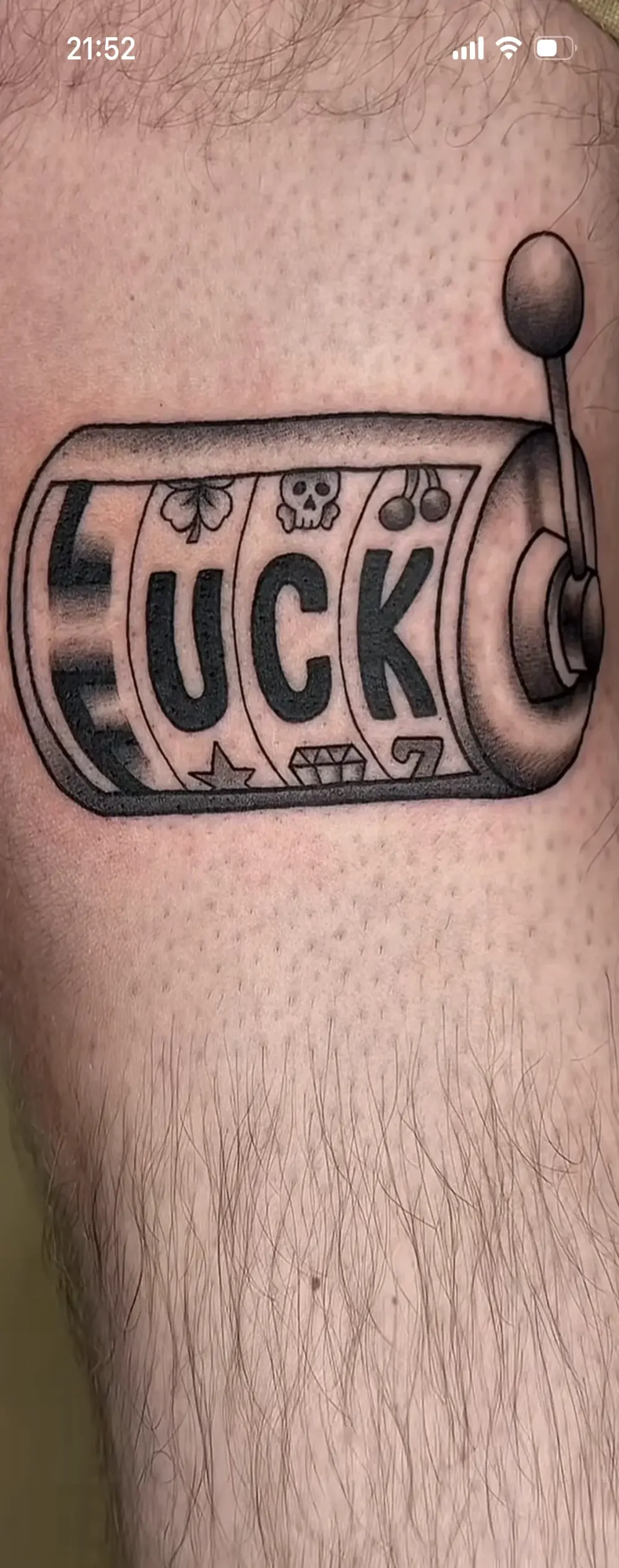 verdevet69