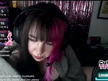 Stripchat Free Porn Cam of CutieTracer