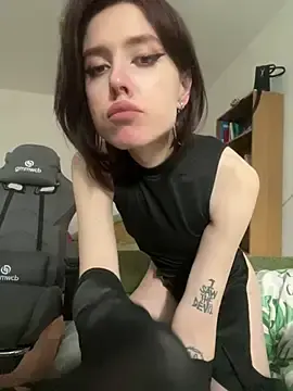 Stripchat Adult Webcam of VelwetNoir