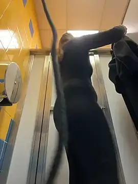 Stripchat Live Porn of Holy_Tereza