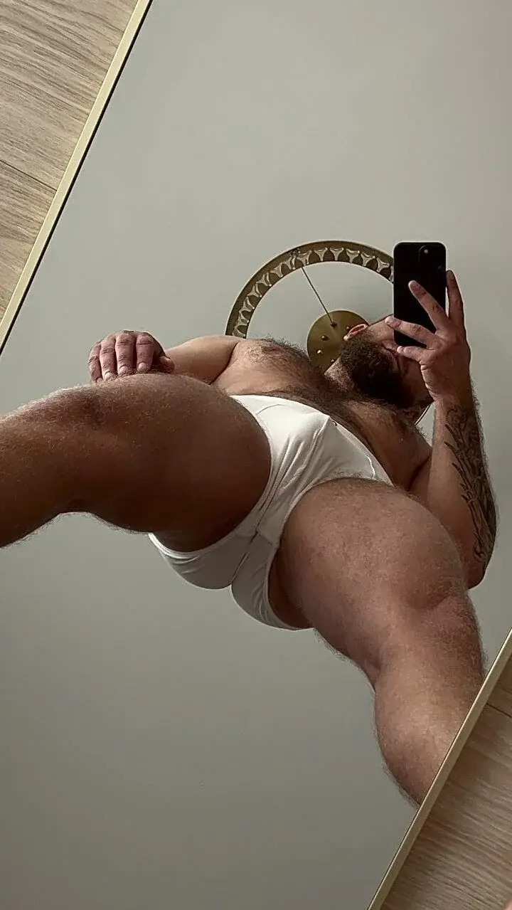 Bear_bear_