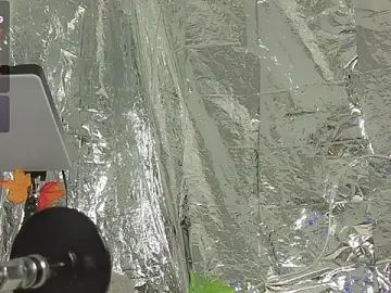 Stripchat Adult Webcam of im_pearll