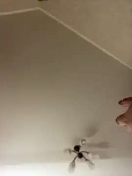 Stripchat Sex Chat of Poly_Nick