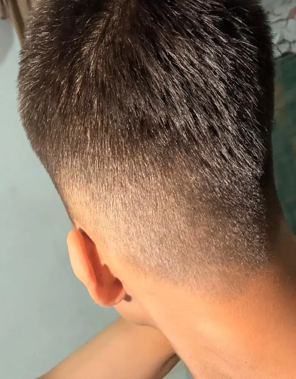 sabanamojada19