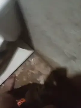 Stripchat Live Sex Cam of RoaredBlooming