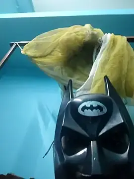 Stripchat Adult Webcams of desikong