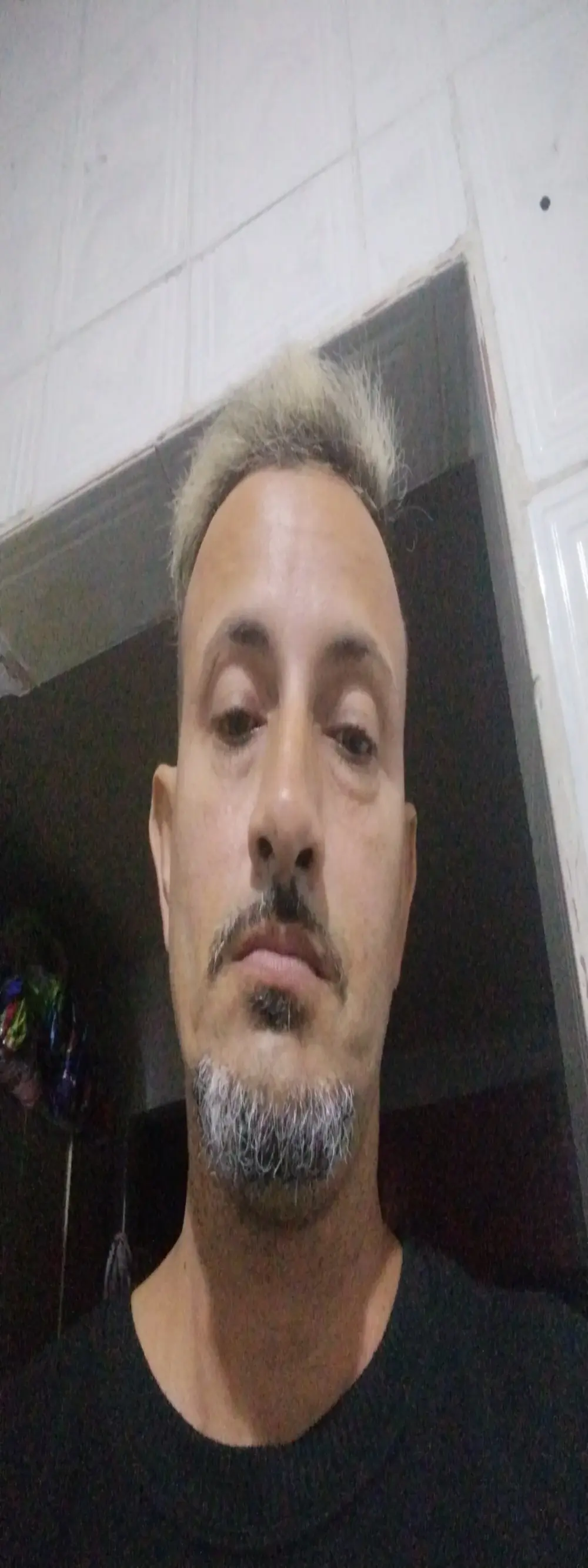 Arteiroelo