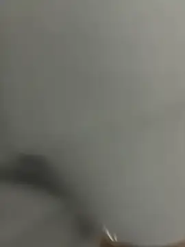 Stripchat Free Live Porn of POCARI_SWEAT