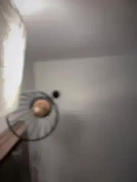 Stripchat Nude Webcam of Saorii_kiido