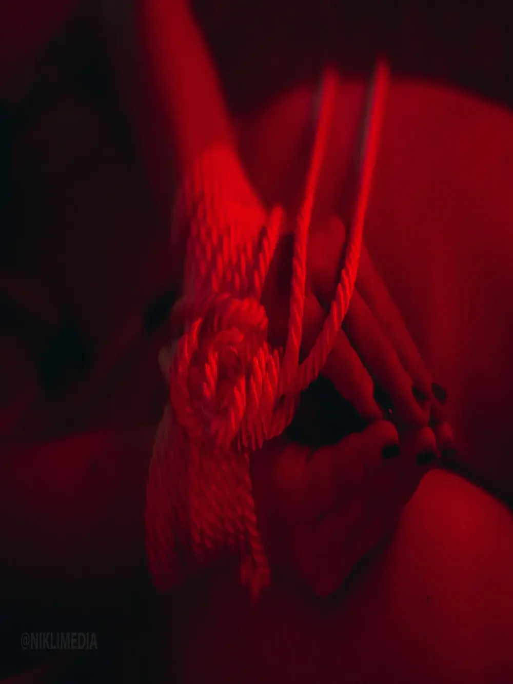 Cassie_Wild