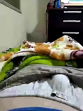 Stripchat Best Webcam of Gallanttrox