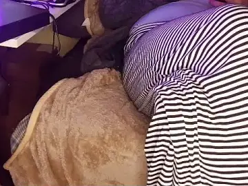 Stripchat Nude Webcam of Michaelo666
