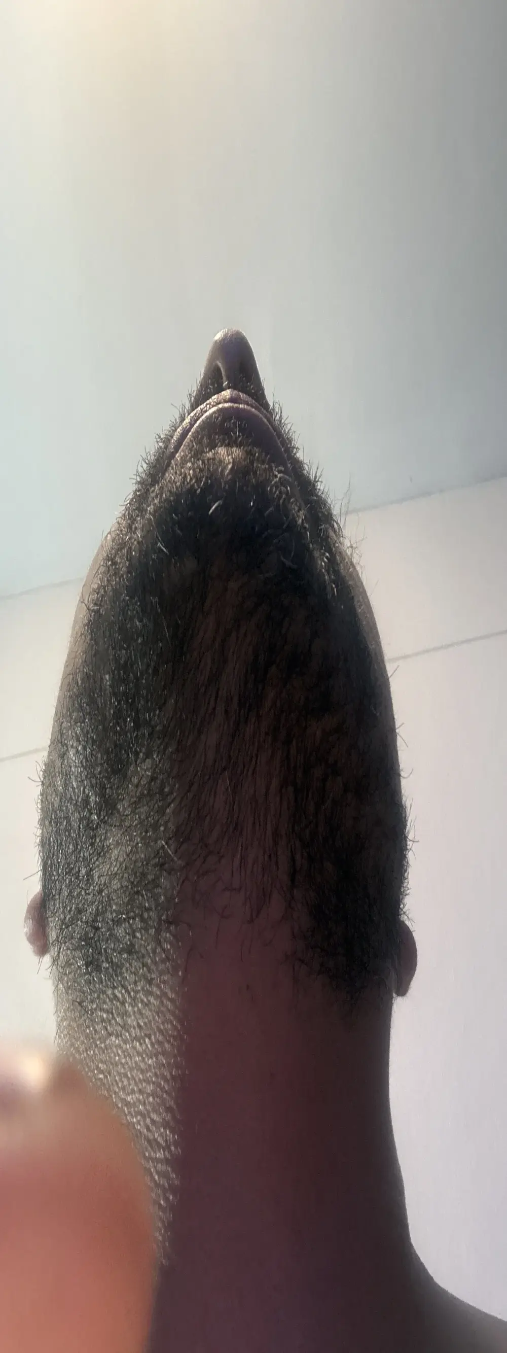 juliomfar69