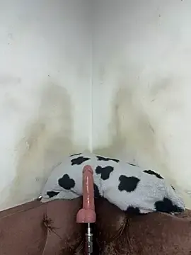 Stripchat Free Porn Cam of avnikaur