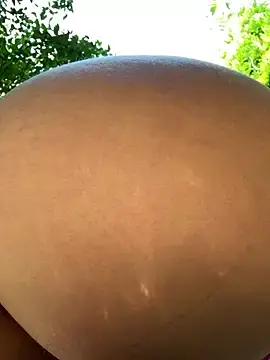 Stripchat Adult Webcams of ladywithbigass