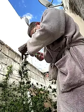 Stripchat Free Porn Cam of alicetgirlbr