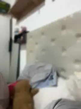 Stripchat Free Live Porn of alicetgirlbr