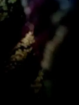 Stripchat Adult Webcam of molozeb