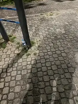 Stripchat Live Sex Cam of joel852