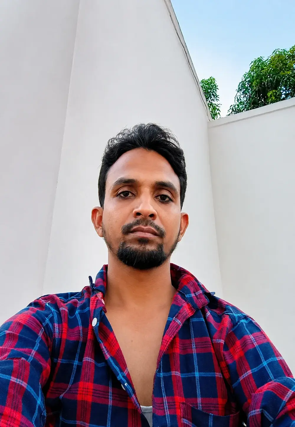 shah8874