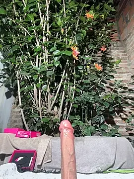 Stripchat Private Sex Chat of Emily_Gomezz