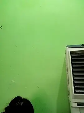 Stripchat Nude Webcam of Paidnehu