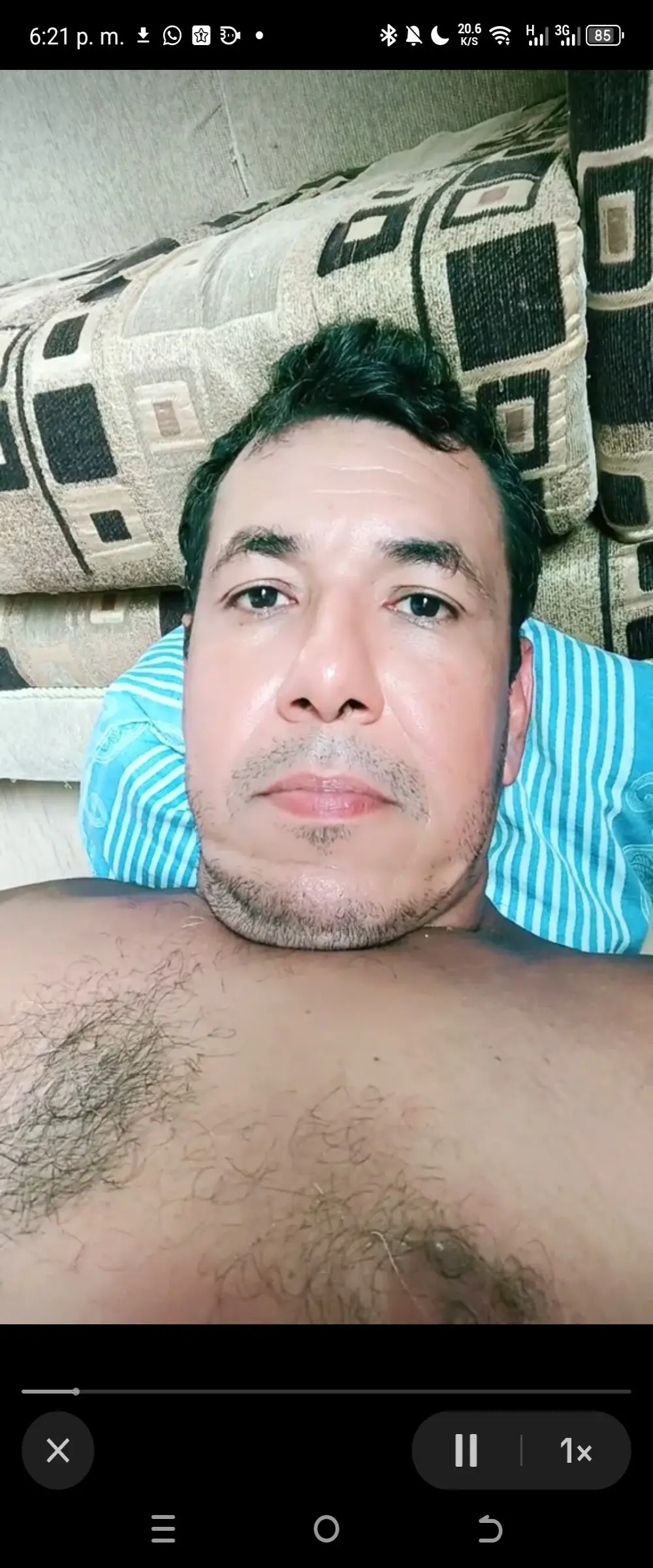 bruno_324278