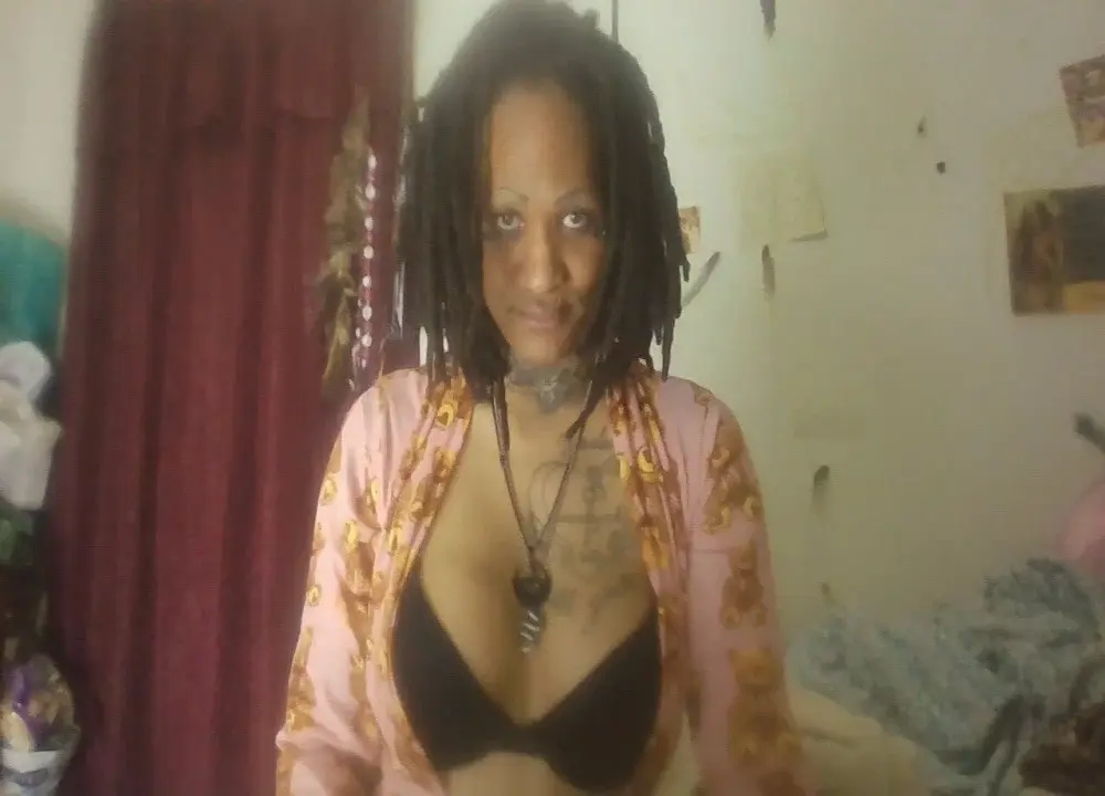 paradisejas