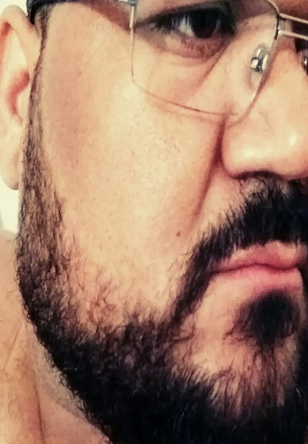 urso266