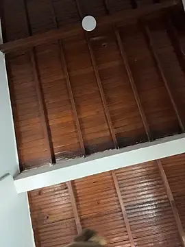 Stripchat Adult Webcams of emiss_