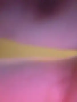 Stripchat Private Sex Chat of pokorogo2