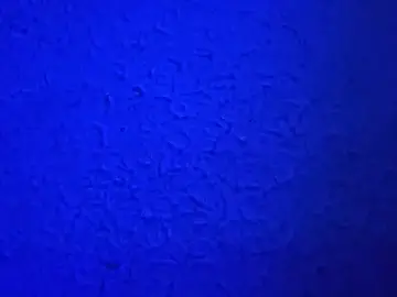 Stripchat Live Sex of EnricoNetto