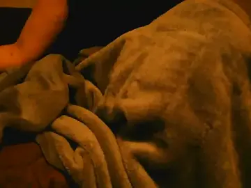 Stripchat Live Porn of Everydayonli