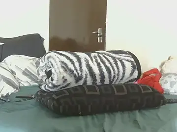 Stripchat Live Sex of AddictiveAssCurves