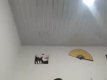 Stripchat Best Webcam of pamelabigcock69