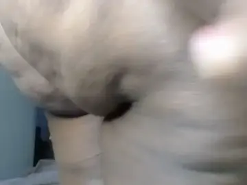 Stripchat Watch Live Sex Cams of Lovelyboobs01