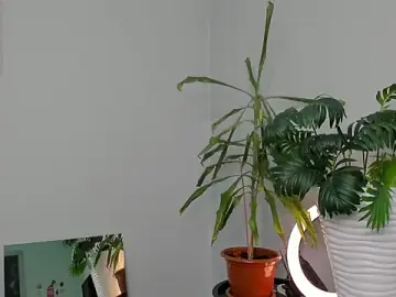 Stripchat Live Sex of ManiJuanaa