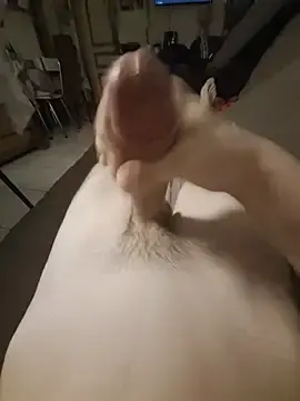 Stripchat Best Webcam of MildStem