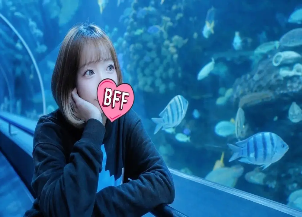 -YUA-jp